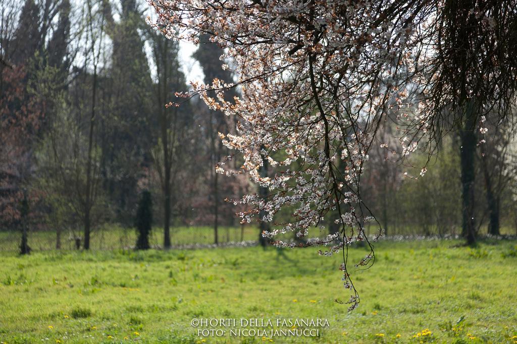 Gasthaus Horti Della Fasanara Ferrara Exterior foto